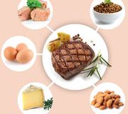 Alimentation (infographie) Par quoi remplacer la viande ?